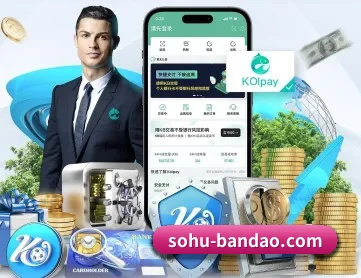 半岛体育 APP
